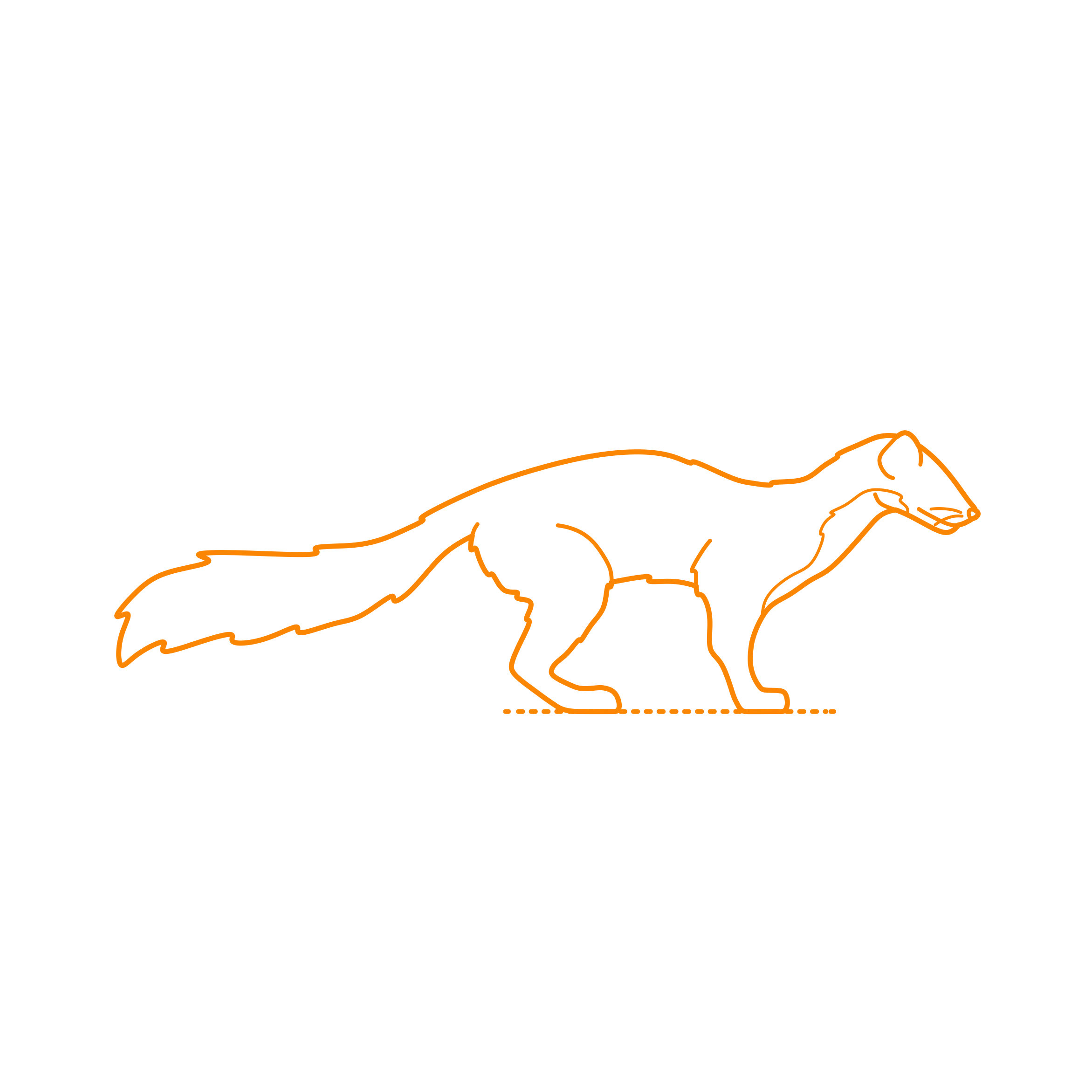 Animals Mustelids American Marten Line Art Illustration Svg Free Vectors